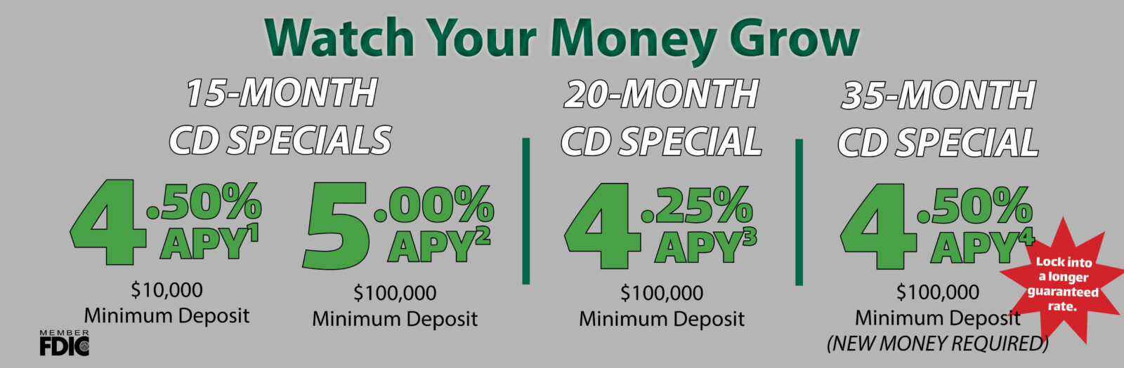 Web banner listing four special CD rate offers. Learn more.